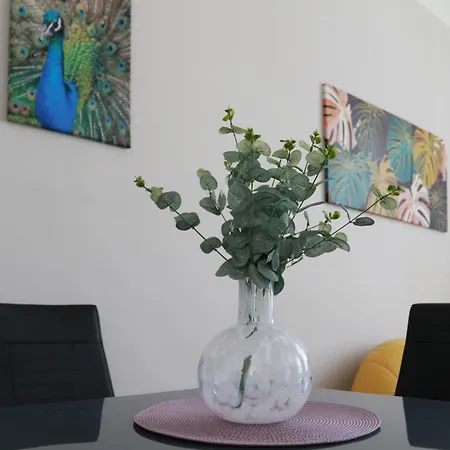 Apartment Warady *